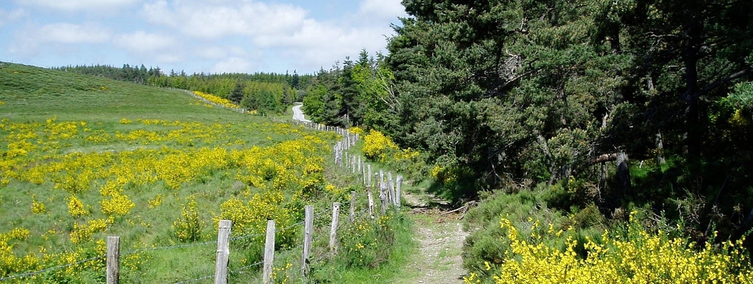 1 Anciennes voies de communication de Langogne en Lozère